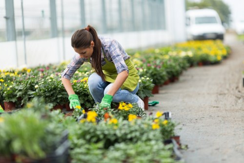 Garden design and build project in Richmond with paving and planting