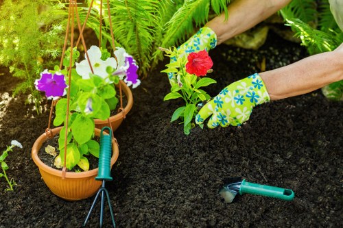 Landscaping service team preparing a garden project