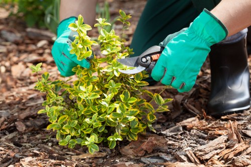 Richmond soft landscaping project with planting design and garden renewal