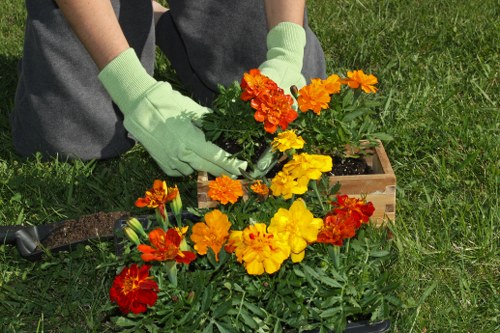 Professional soft landscaping in Richmond for lawns, borders, and screening