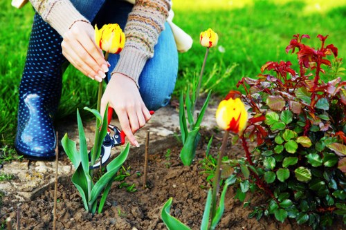 Local transfer station handling green waste and reusable materials