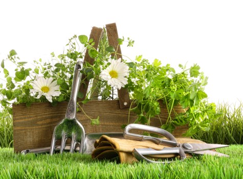 Local garden drainage solutions for Richmond homes and businesses