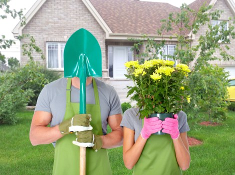 Local Richmond soft landscaping with new borders, shrubs, and mulch